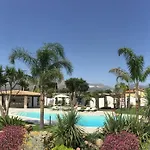 Araucaria