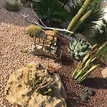 Villa Araucaria *
