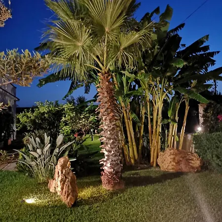 Araucaria Villa Partinico