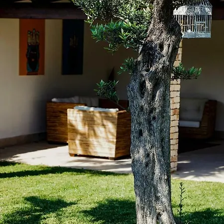 Araucaria Villa